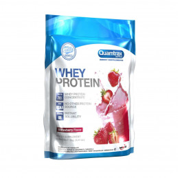 DIRECT 100%WHEY PROTEIN 500 GR