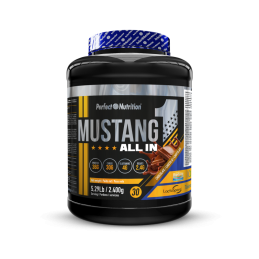 MUSTANG ALL IN 2400GR...
